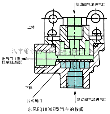 5.gif